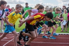 Sportfest2019-3725